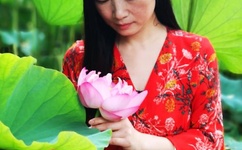 把女人弄爽特黄A大片片